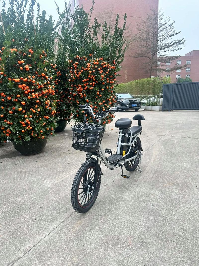 代驾司机的终极选择 高性价比电动车、摩托车与折叠工具全解析
